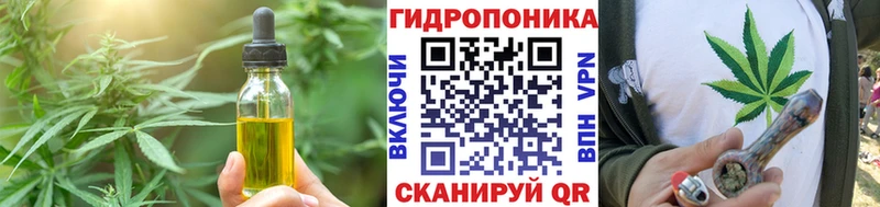 kraken онион  Кемерово  Печенье с ТГК марихуана 