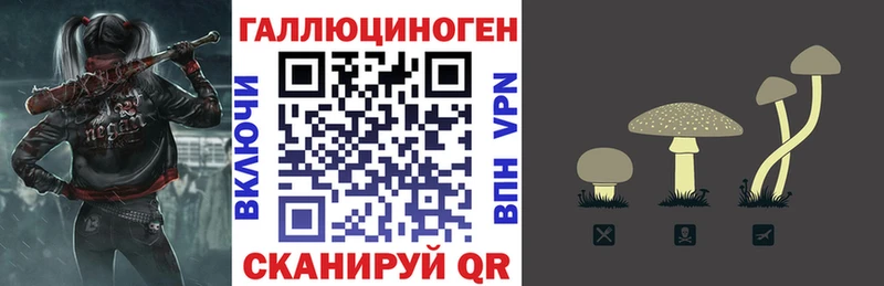 Псилоцибиновые грибы прущие грибы  Кемерово 